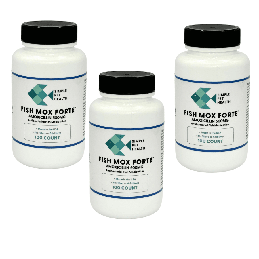 Fish Mox Forte - Amoxicillin 500 mg Capsules 100 Count - 3 Pack - UNAVAILABLE