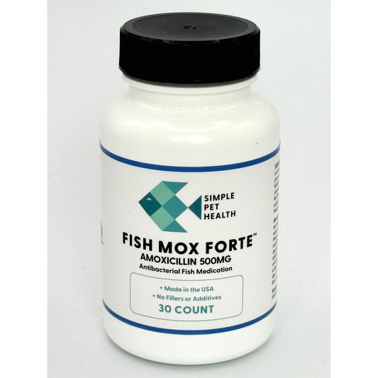Fish Mox Forte™ - Amoxicillin 500 mg 30 Count - OUT OF STOCK