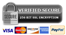 Secure Logo
